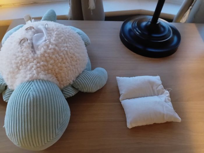 Turtle "water bottle " microwave.