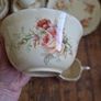 Staffordshire 21 piece Image 8