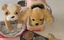 Puppy teddies (our generation)