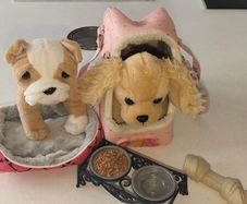 Puppy teddies (our generation)
