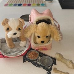 Puppy teddies (our generation)