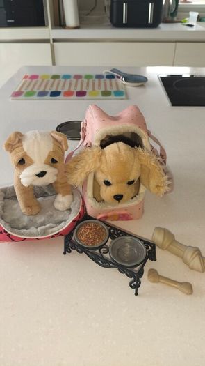 Puppy teddies (our generation)