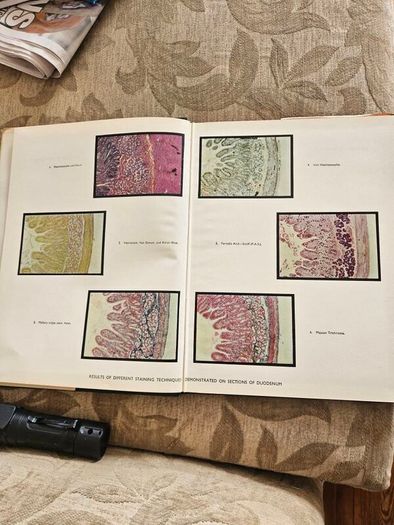 An Atlas Of Histology. By W.h. Freeman And Brian Bracegirdle. Second Edition Large Volume Hardback With Dustjacket.  Book In Good Condition.  Dustjacket Tatty.  See Photos For Same.
