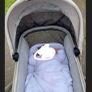 Venicci  Pram & Pushchair Image 3