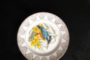 Kingfisher Bone China Plate