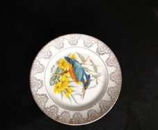 Kingfisher Bone China Plate