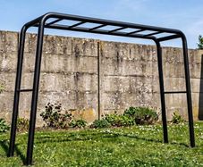 Monkey Bars