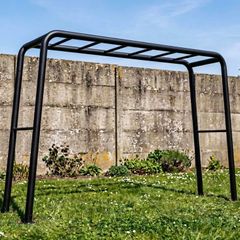 Monkey Bars