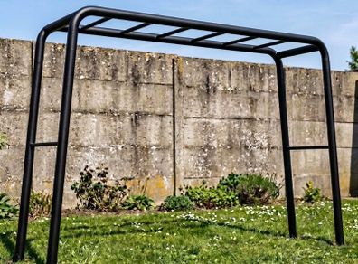 Monkey Bars
