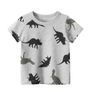 Boys T-shirt Image 2