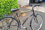 Man's Bike