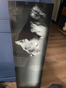 glass picture