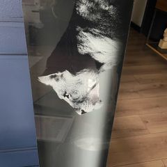glass picture