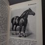 1969 "The Observer's Book of Horses and Ponies" by R.S. Summerhays Image 9