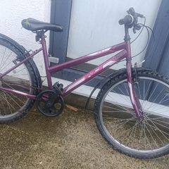 Ladies bike