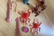 sea creatures