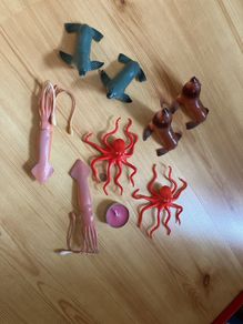 sea creatures