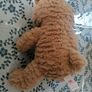 Teddy Bear Image 3