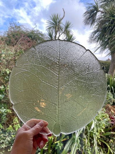 Pair of vintage Arcoroc Aspen Leaf Glass Platters / Plates, Mid century French Dishes