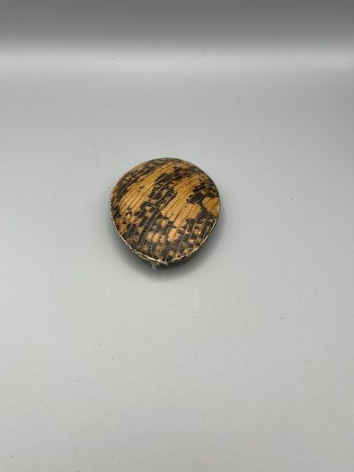 Vintage Snakeskin Pattern Belt Buckle - Oval Western Style, Pre-Owned with Patin