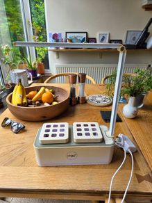 Seedling Plant Lamp