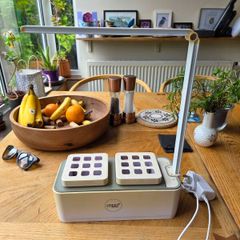 Seedling Plant Lamp