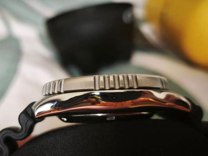 Citizen Promaster