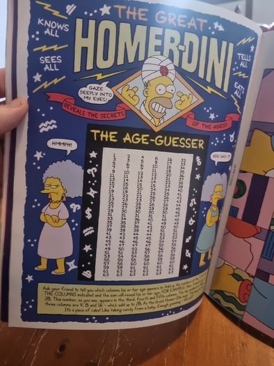The Simpsons' Rainy Day Fun Book (paperback)