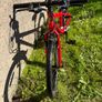 Frog 52 bike Image 2