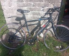 bike for sale