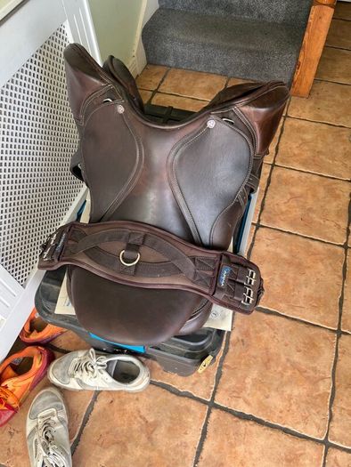 Horse saddle cavaletti collection, girt, stirrups