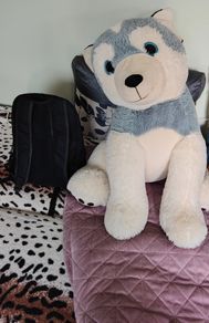Large stuffed dog