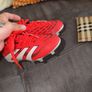 TD Adidas Predator UK10K Image 5