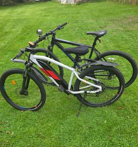 Bike and electric bike