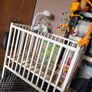 White Baby Cot Image 4