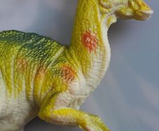 Dinosaur - Model - Toy - Parasauroloptius