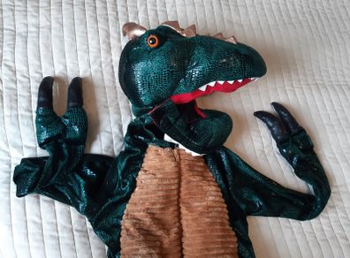 Dinosaur/Dragon Halloween Costume 5-6 years