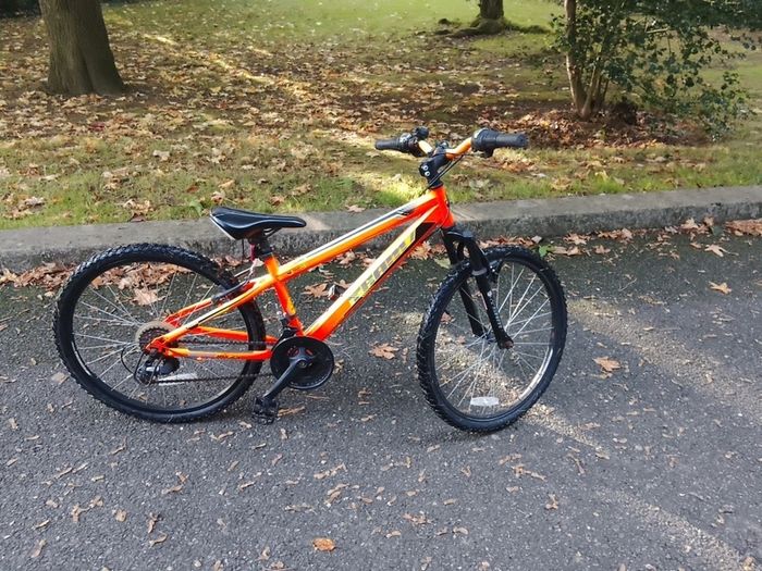 Team Kids Bicycle