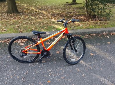 Team Kids Bicycle