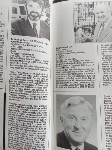 Who's who in Irish politics: The top 500