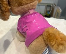 Build a Bear