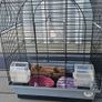 Bird cage Image 2