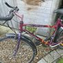 Bike Image 5