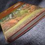 The Guiness Book of Trees / 1st ed.,  1981 Image 4