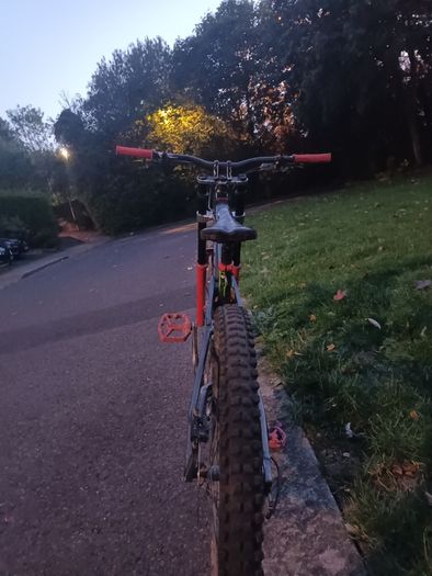 Vitus dh bike