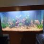 115litre Juwel Aquarium Image 3