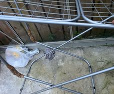 clothes airer
