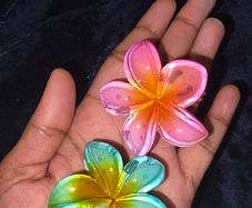 New Hair clips
