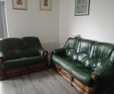 Calfskin Patent leather couches in deep green