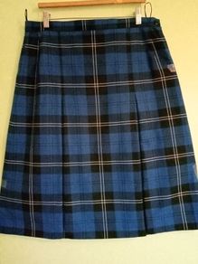 St.Joseph's Secondary, Navan, Senior Cycle skirt, Size Waist 34